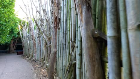 pathway lined with dry wood log fencing at melbourne zoo