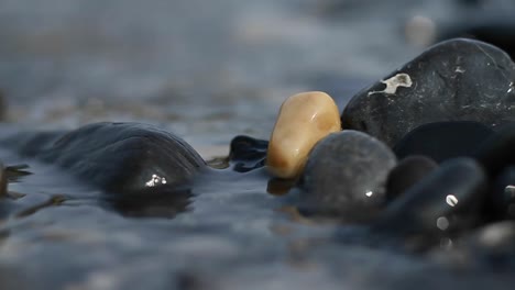 pebbles on the riverbank