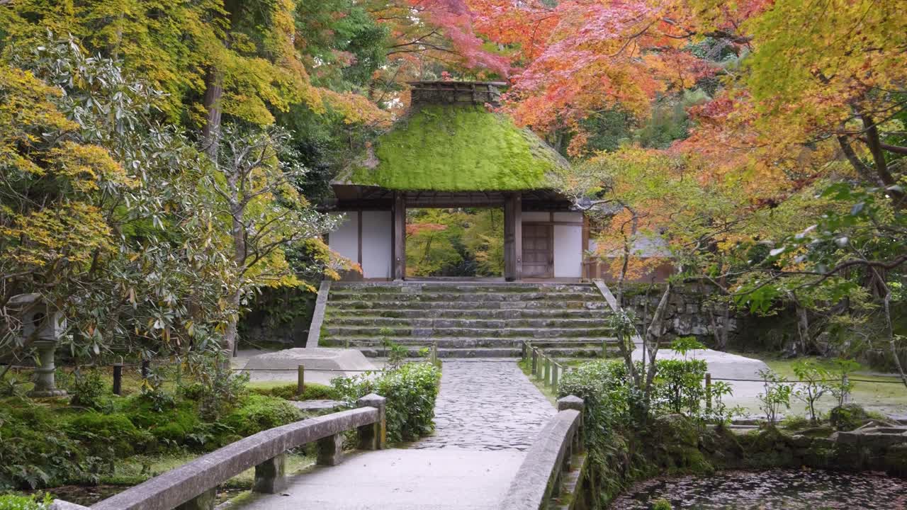 impresionante puerta cubierta de musgo en el templo de hoenin en kyoto, durante los colores de otoño