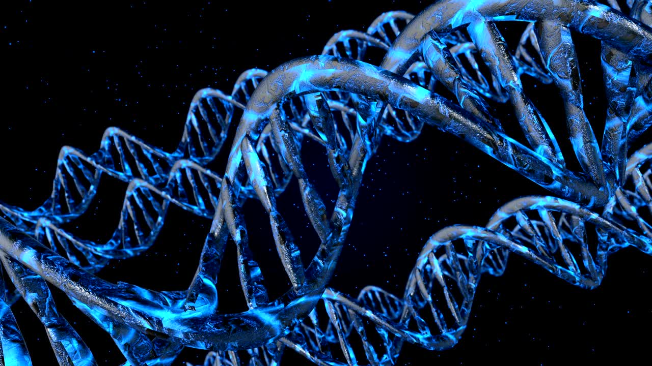 código de adn. abstracto 3d marco de alambre poligonal dna molécula hélice en espiral. animación en bucle.