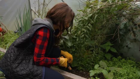 mujer joven jardinería bonita