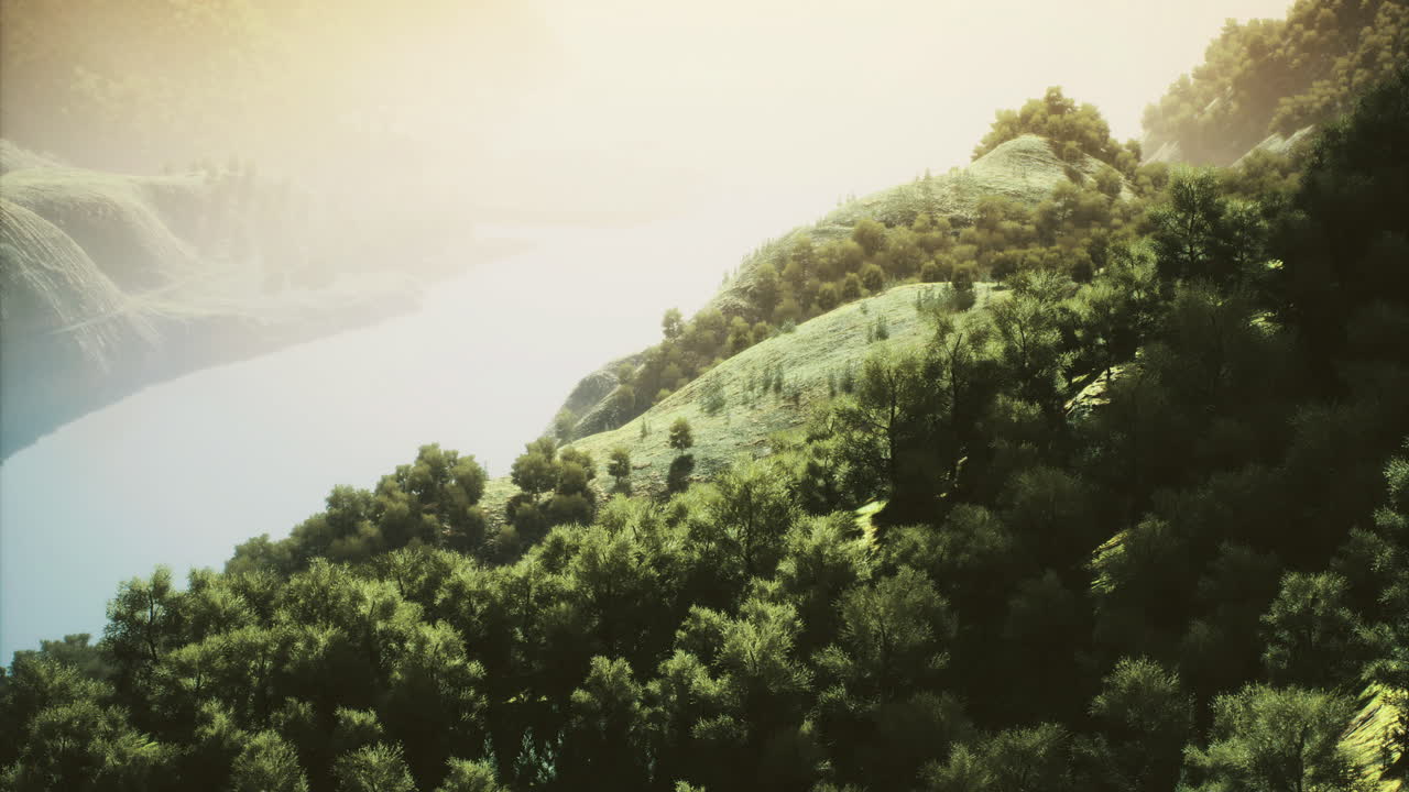 Serene landscape view with lush greenery by a calm river at sunrise