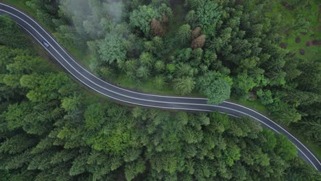 aerial view of the mountain road in a green forest (aerial, loopable)