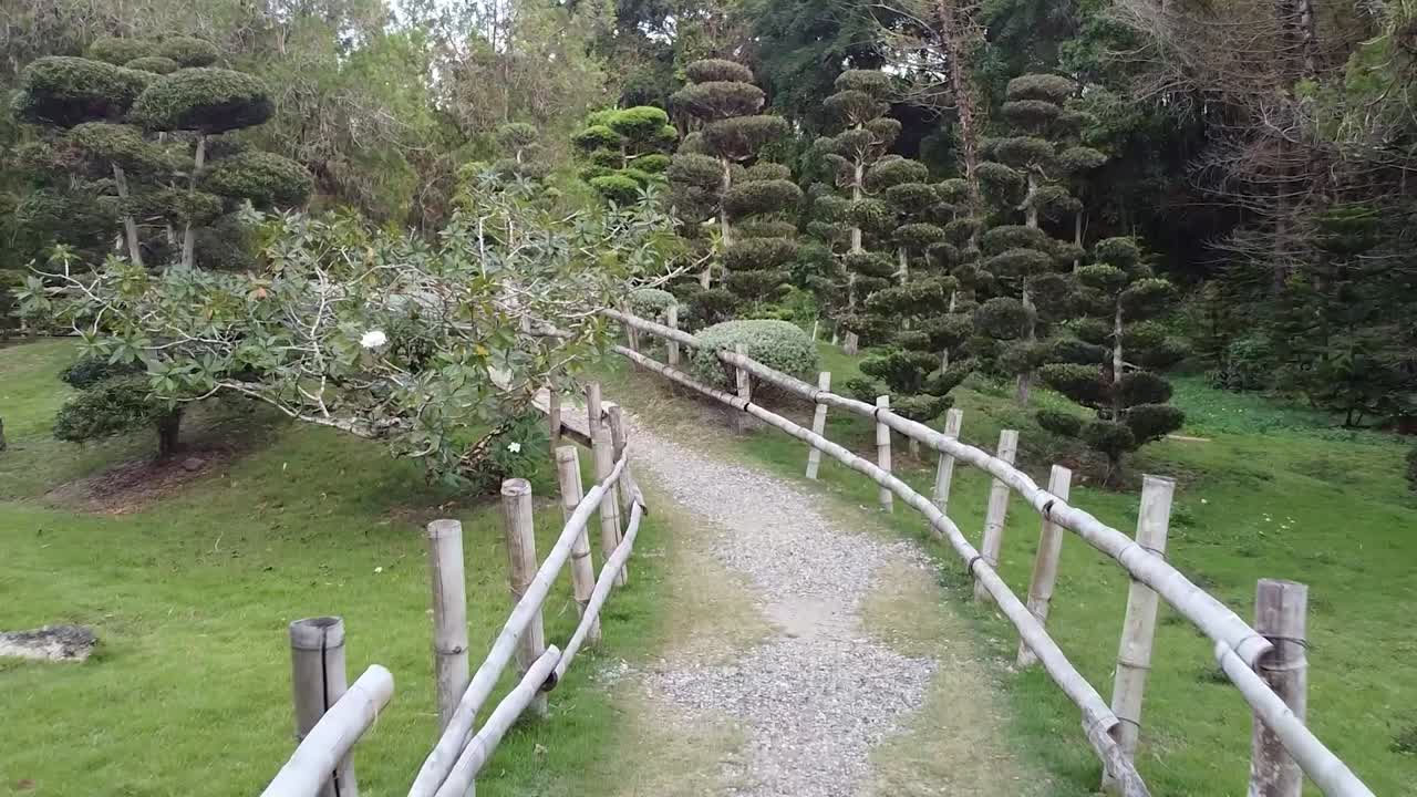 parque urbano con árboles, campos verdes, hermosos senderos para caminar