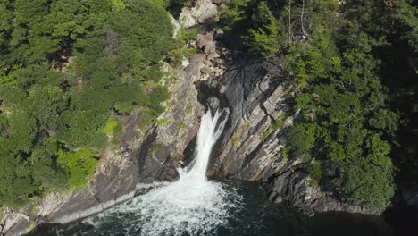 toroki falls, lush landscape of yakushima japan