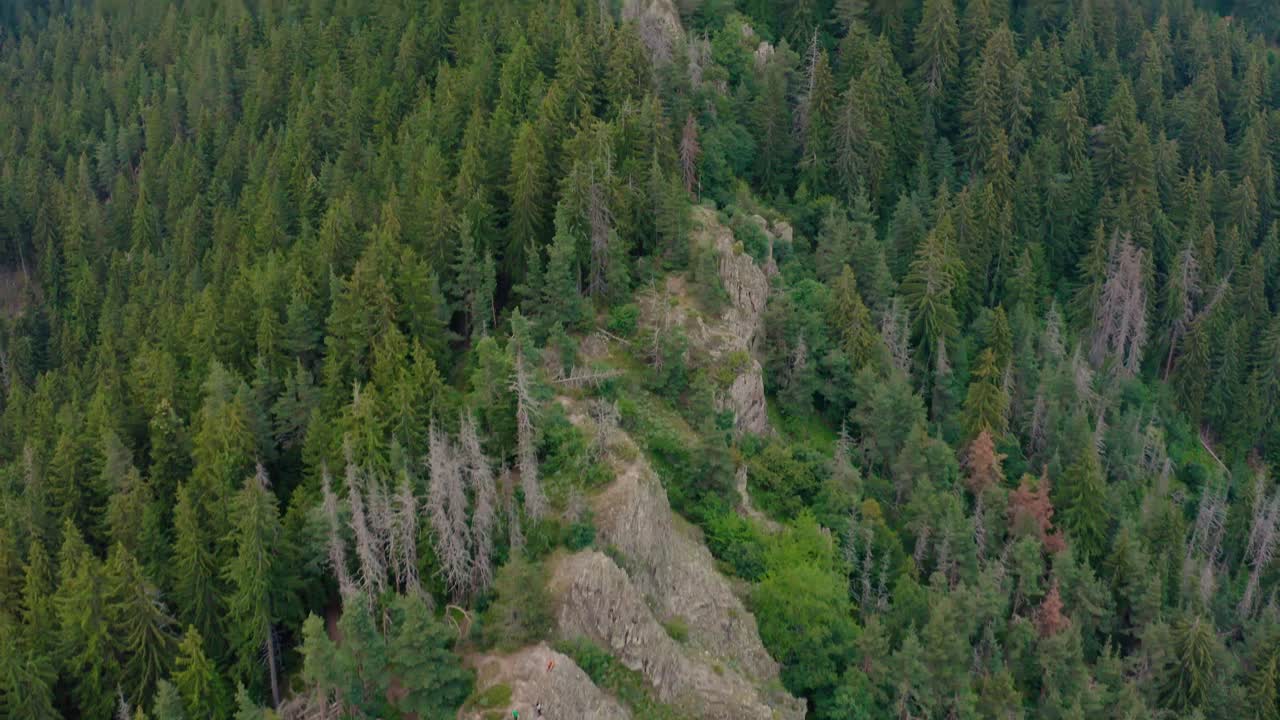 полет над зелеными деревьями в горах родопы в болгарии