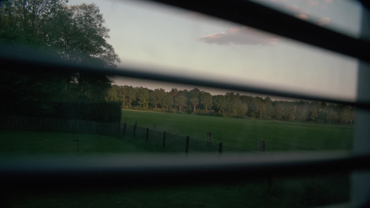 Shot of nature and outside through a window and blinds