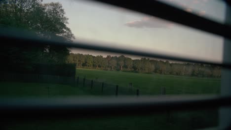 shot of nature and outside through a window and blinds