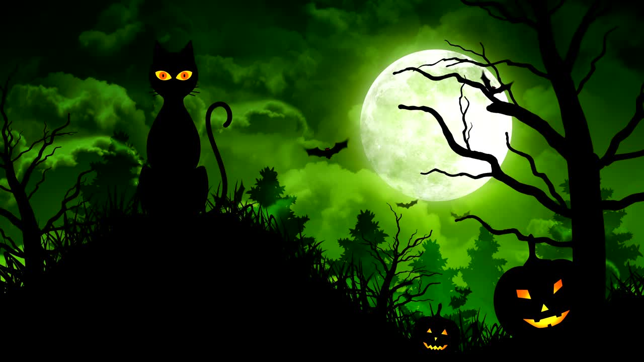 halloween, el gato aterrador y la luna.