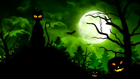 halloween scary cat and moon