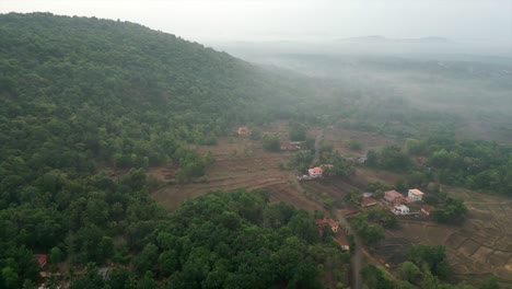 Grüner-Wald-Aus-Der-Vogelperspektive-In-Konkan