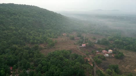 greenery forest bird eye view in konkan