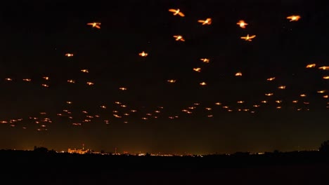 A Stunning Nighttime Display: Spectacular Formation of Illuminated Birds in Flight Over a City Skyline Captivates the Eye Beneath a Starry Sky