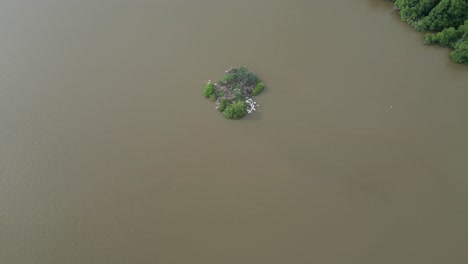 Above-the-oaxacan-coast,-drone-flight-over-Manialtepec-lagoon-near-Puerto-Escondido,-Oaxaca