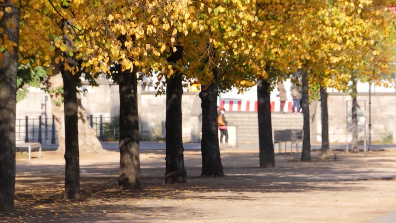 Осень в городском парке