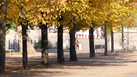 autumn in the city park