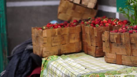 a lonely fly on the table by the baskets full of strawberries in ukraine