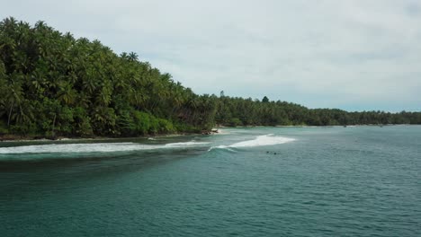 wave, jungle seascape mentawai indonesia