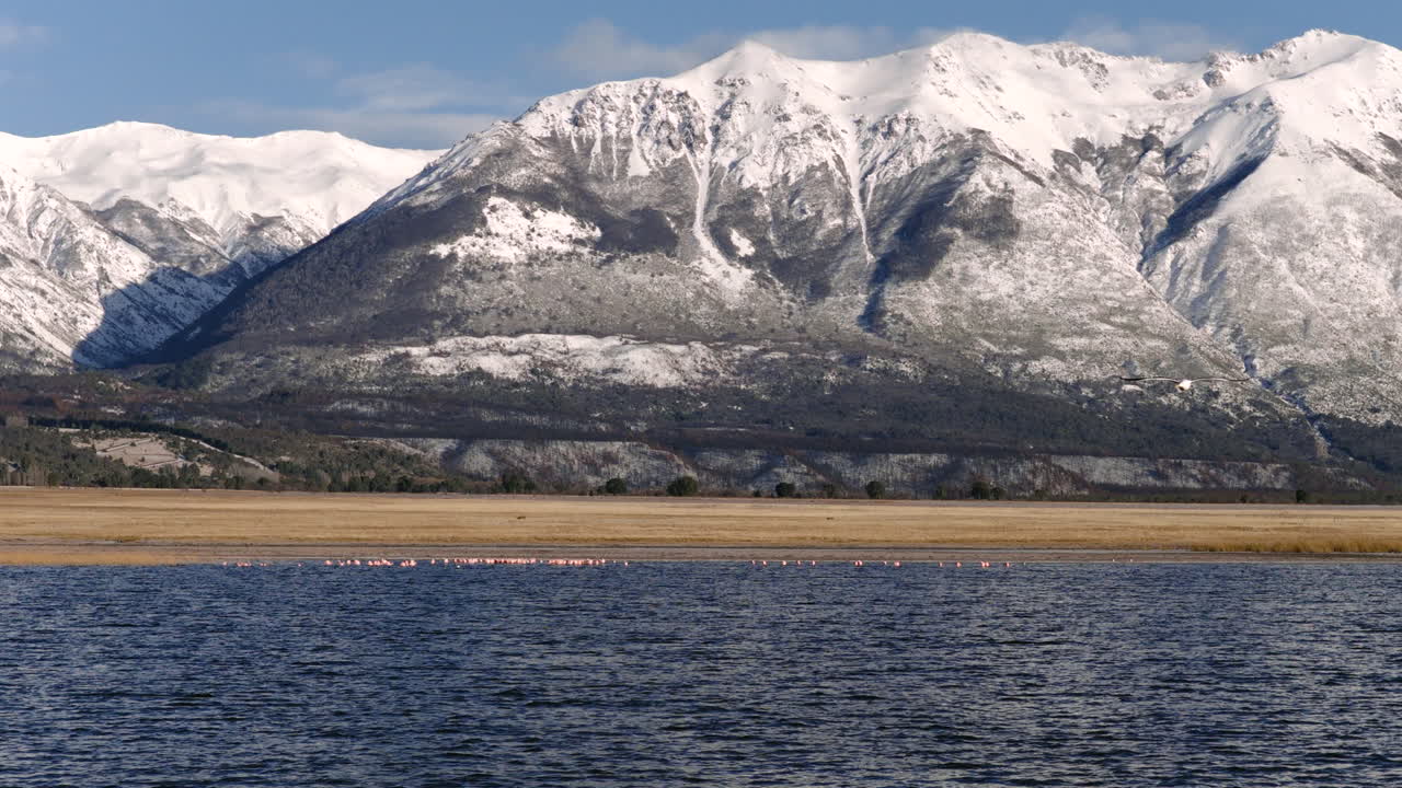 Calm lake surrounded by snow covered mountains with flamingos in evening, Patagonia, Argentina