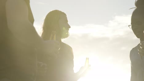 Silhouettes-of-young-people-clinking-beer-bottles-during-party