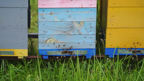 Multicolored colorful hives. Bees make honeycombs, extract honey. Yellow and blue hives with fresh honey. Selective focus.