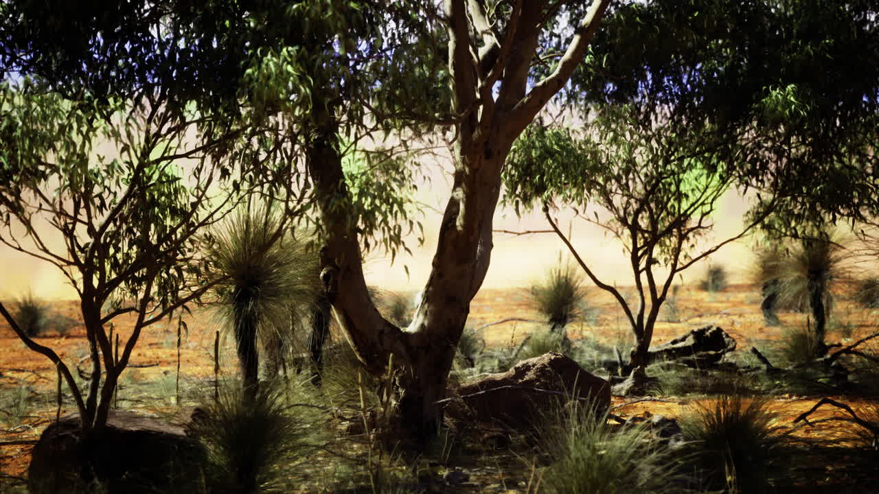 Lush vegetation under the warm sunlight in a serene natural landscape