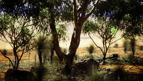 lush vegetation under the warm sunlight in a serene natural landscape
