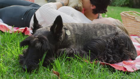 una pareja de lesbianas caucásicas besando a su perro mientras yacen en la manta en el jardín durante un picnic