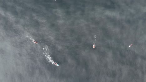 group of surfers paddling over breaking waves, aerial topdown
