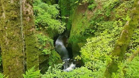 river in a narrow gorge with nature all around it