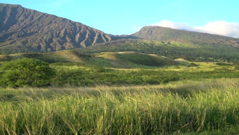 scenic landscape in hawaii