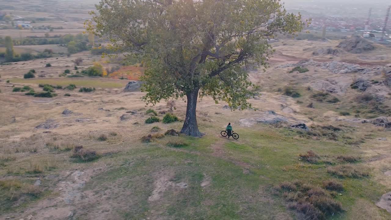 Ragazza in piedi sotto un grande albero che si gode la bellissima natura pacifica, ripresa con drone