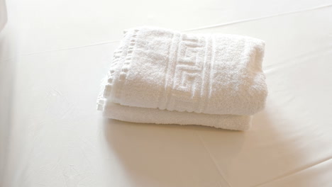 clean towels with olive branches on bed