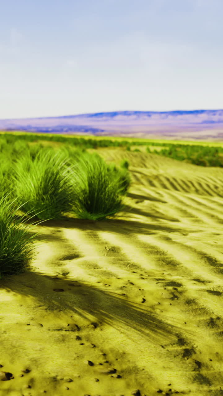 Vibrant green grasses flourish in the serene desert landscape under a clear sky
