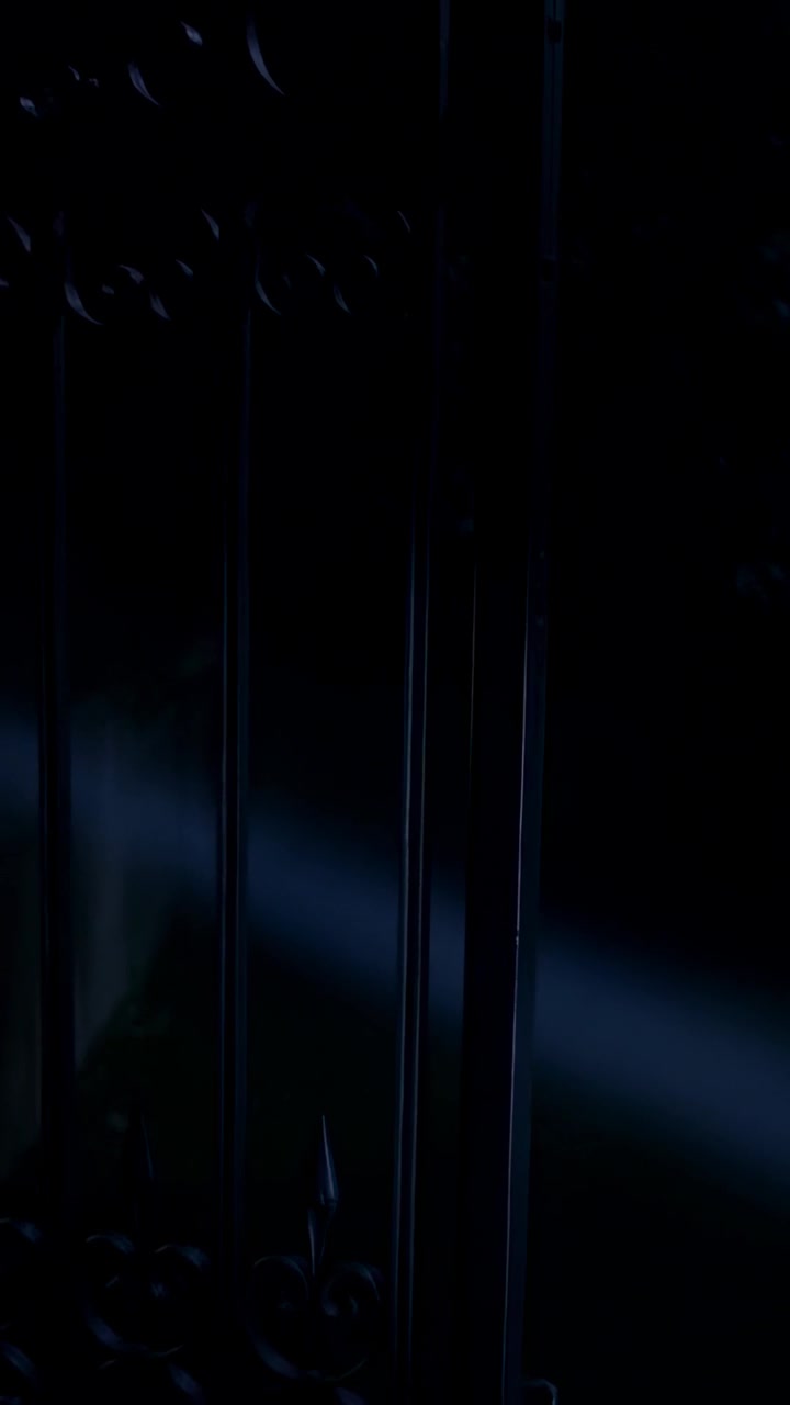 Vertical video: Sweeping narrow bluish beam entering left, lighting wrought-iron gate at entrance