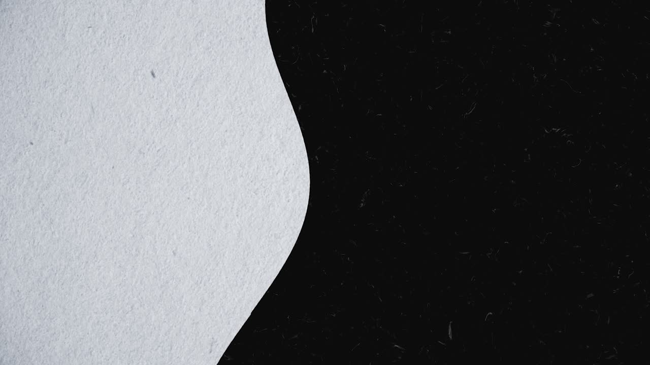Abstract Design with Black and White Curves