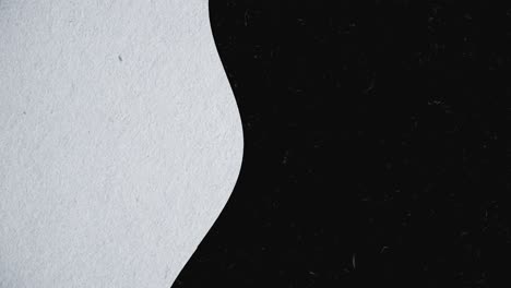 abstract design with black and white curves