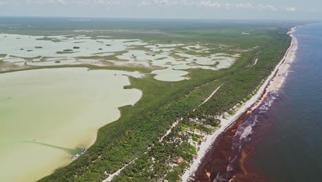 sian kaan biosphere lagoon, riviera maya mexico, sargasso beach weed