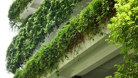 lush green wall on building exterior