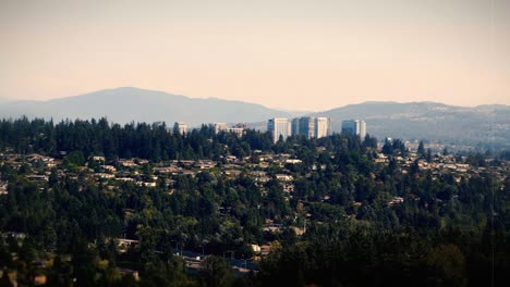 bellevue washington looping helicopter aerial film