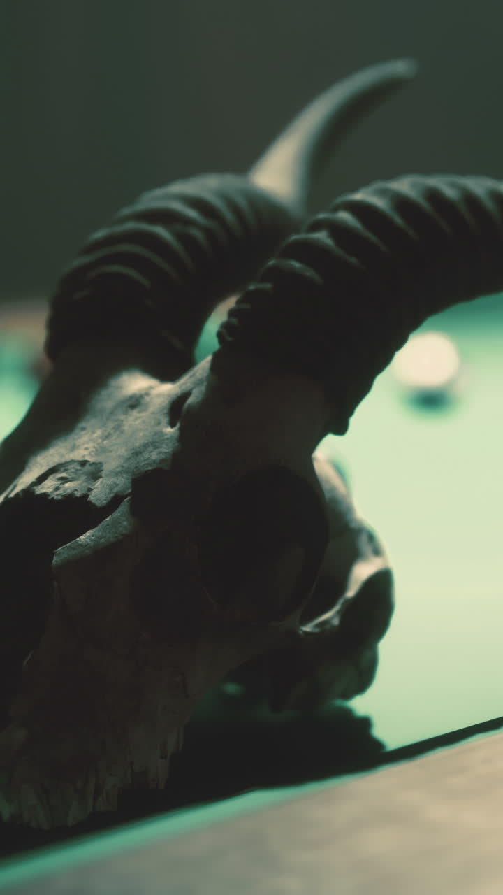 Skull with horns on a pool table surrounded by colorful billiard balls