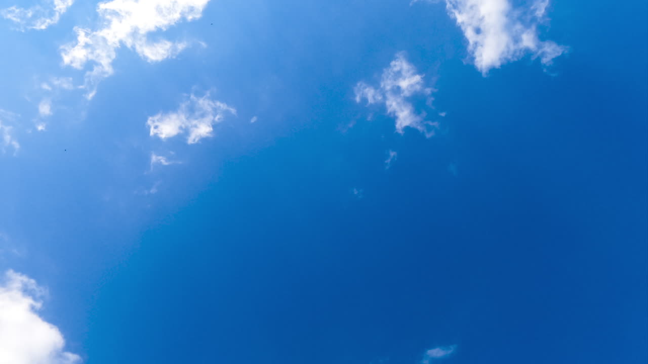 Light thin clouds disappearing in the deep azure sky. Amazing view of skies from below on sunny day. Timelapse.