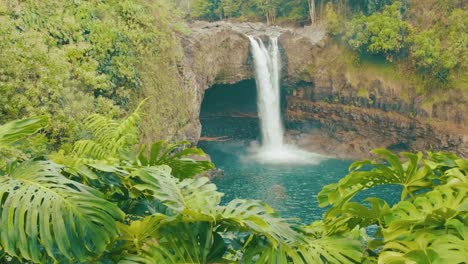 arbustos tropicales en primer plano con cascada en el fondo