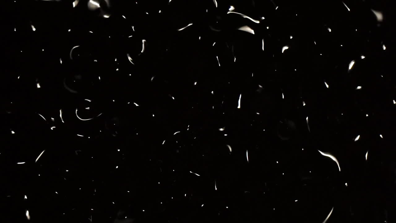Wave patterns resembling subatomic particles pulse in a black void