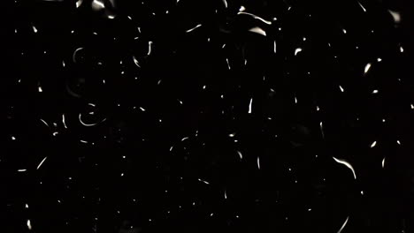 wave patterns resembling subatomic particles pulse in a black void