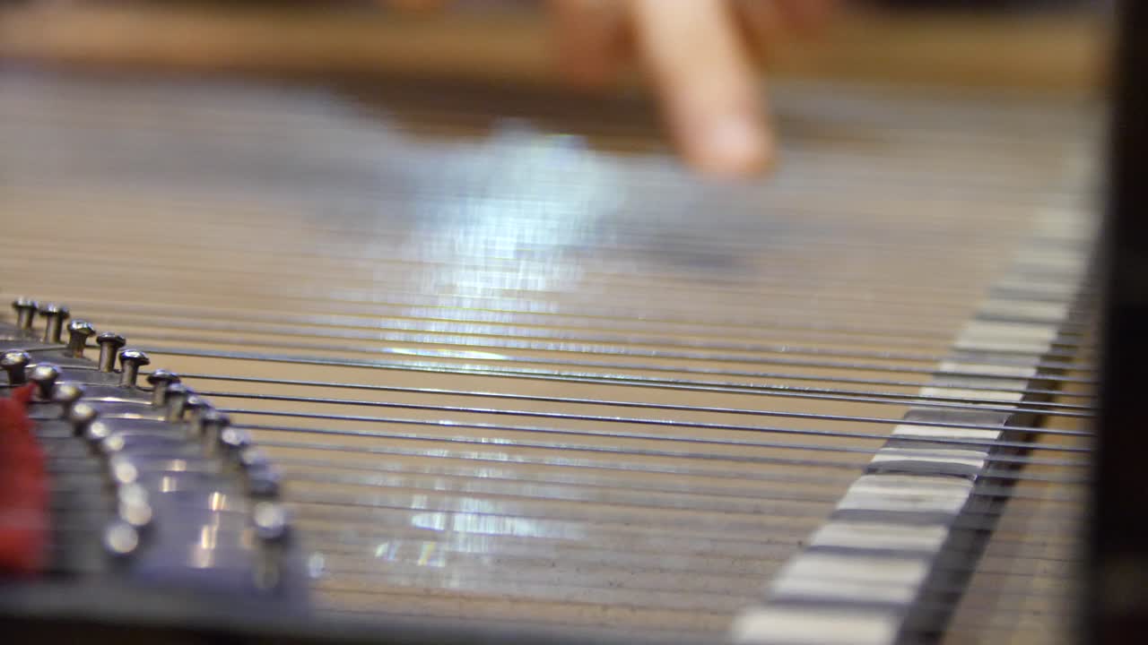 지터 나 코토 를 연주 하는 것