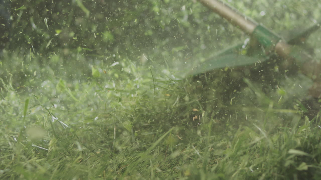 신선하게  ⁇ 은 풀