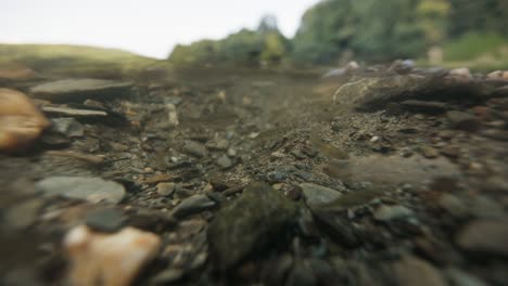 underwater riverbed scene