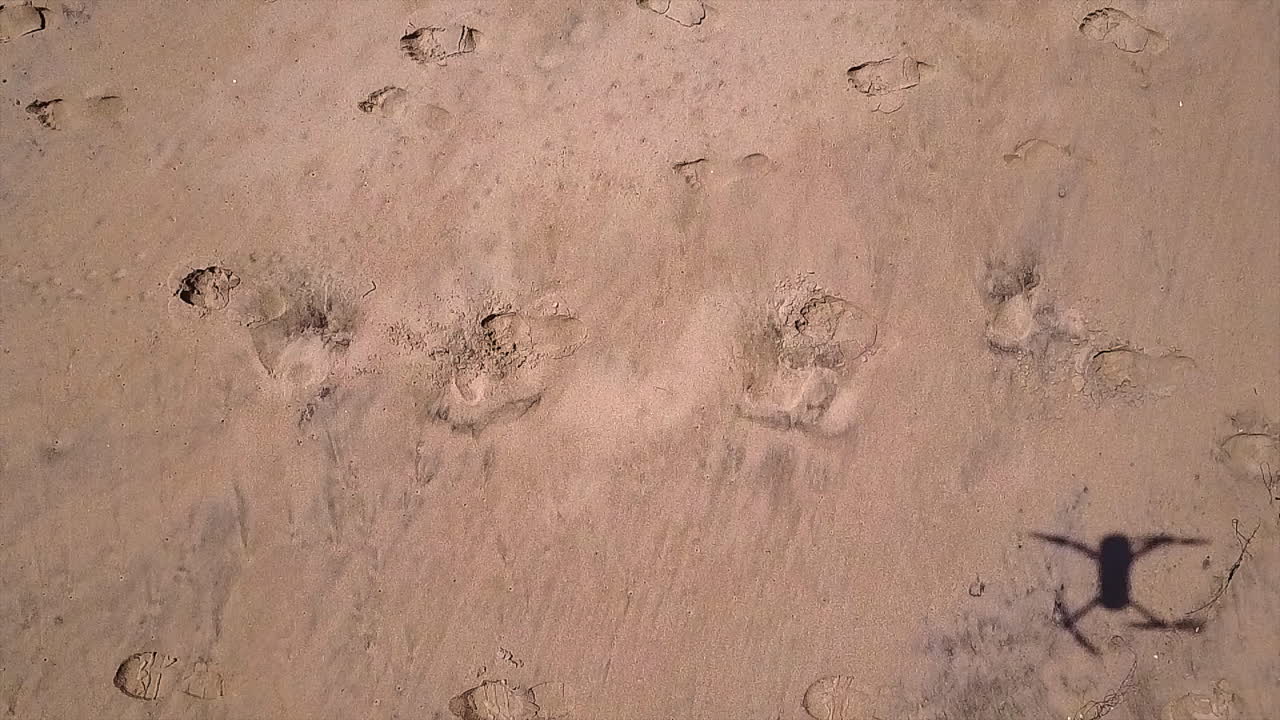 imágenes aéreas de una sombra de drones que se refleja en una playa, con pasos