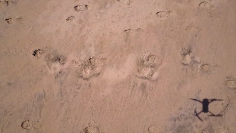 Aerial-footage-of-a-drones-shadow-reflecting-on-a-beach,-with-footsteps